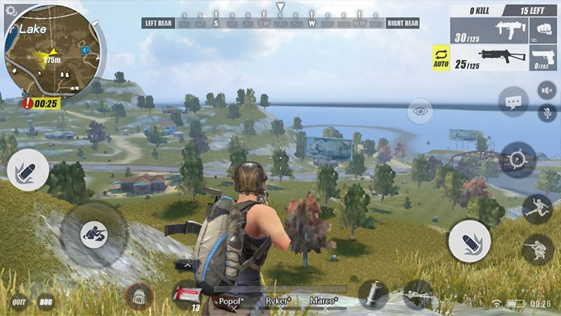 Game Rules of Survival PC